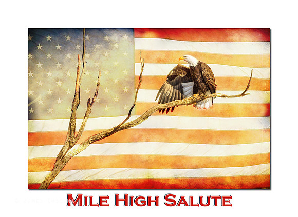 Mile High American Bald Eagle Salute