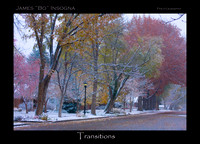The First snow of the season early November with the fall foliage of color. Longmont, Colorado , Boulder County.  Fine Art Autumn Winter print.