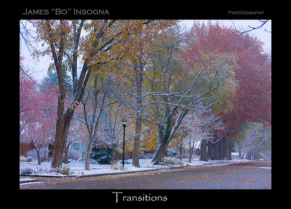 The First snow of the season early November with the fall foliage of color. Longmont, Colorado , Boulder County.  Fine Art Autumn Winter print.
