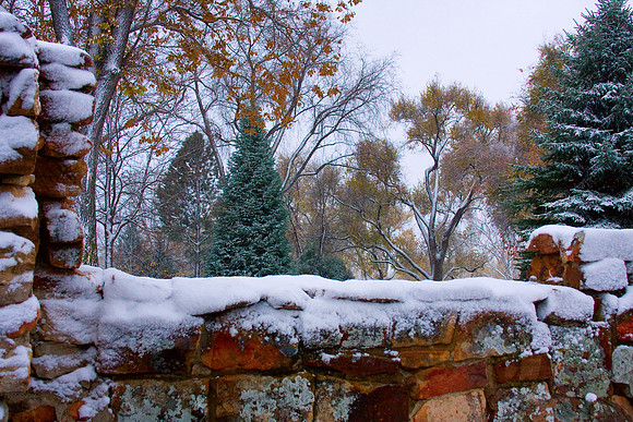 Colorful stone wall with the first winter snow storm with the autumn fall foliage colors