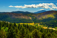 Cold Springs Wildfire Burn Scars