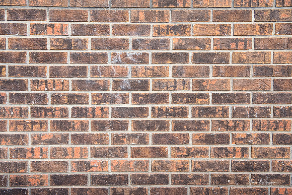 Bricks On The Wall