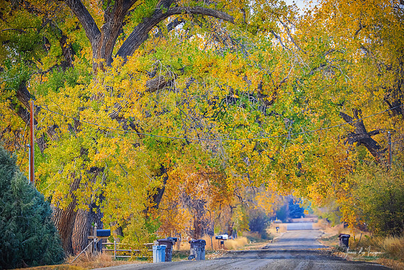 Awesome Country Road