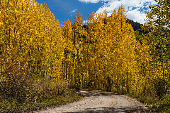 Beautiful-Rocky-Mountain-Back-Road