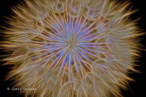 Psychedelic Dandelion Art