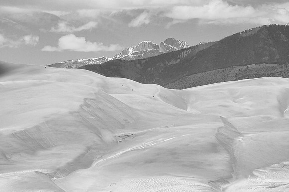 IMG_0259BW