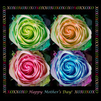 colorful_rose-spirals-mother-day-2