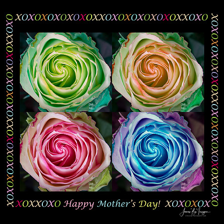 colorful_rose-spirals-mother-day-2