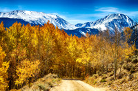 Rocky_Mountain_Autumn_Cruisin