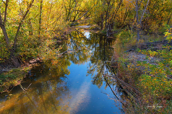 Reflection Time