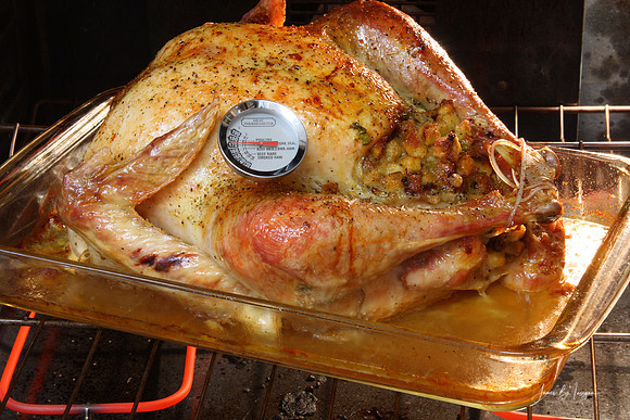 Golden Roasted Turkey in the oven with a meat thermometer.
