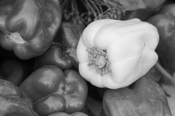 Albino-Bullnose-Pepper-BW