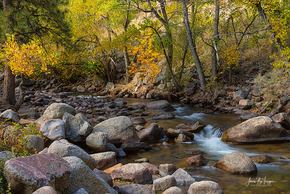 Gentle Stream