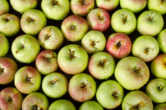 Little-Green-Apples
