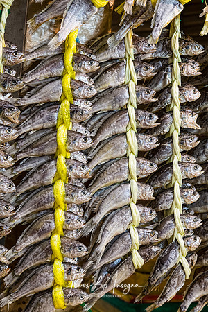 Dried_Fish
