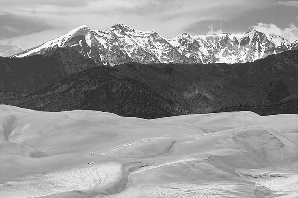 IMG_0263BW
