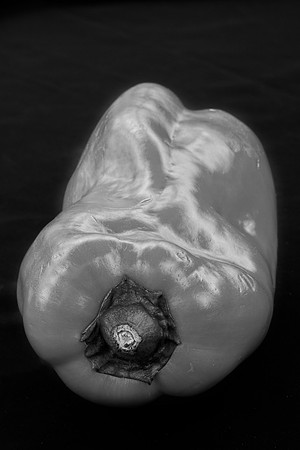 Red_Pepper_Bringing_Sexy_Back_BW