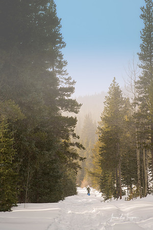 Backcountry Fun In The Snow