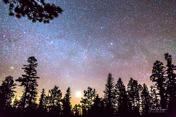 Star Light Star Bright