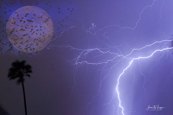 running-from-the-storm (2)