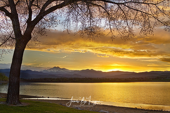 spring_twin_peaks_golden_sunset