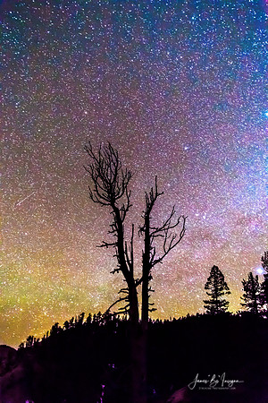 Colorful Celestial Night Portrait