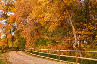 country-autumn-ranch-road