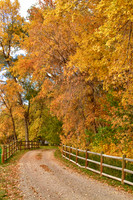 country-autumn-ranch-road-ver-a