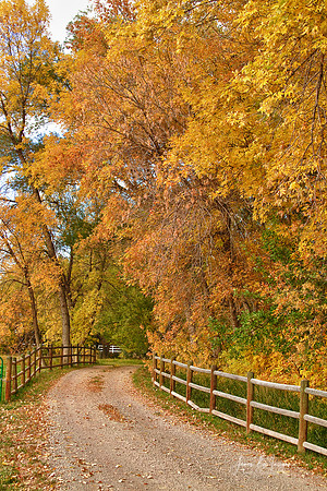 country-autumn-ranch-road-ver-a