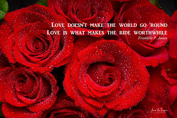 Love-Is-What-Makes-The-Ride-Worthwhile