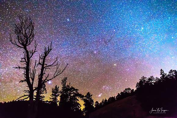 Celestial Universe