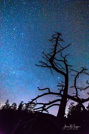 Astrophotography Night
