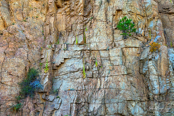 St Vrain Canyon Wall