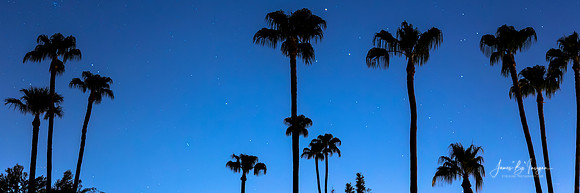 Blue_Tropical_Night_Panorama