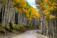 Autumn Aspen Tree Lined Rocky Mountain-Road