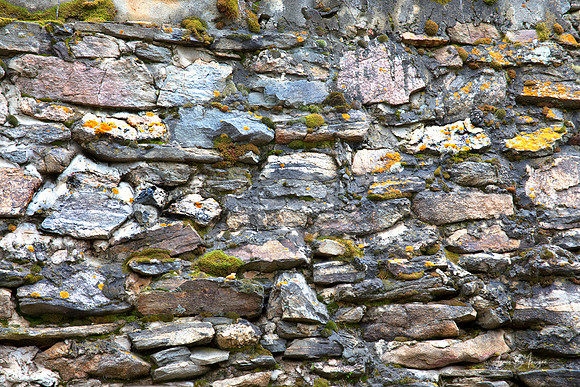 Colorful Rocky Mountain Nature Wall