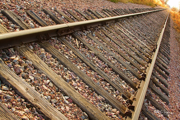 Golden-Light-End-Tracks