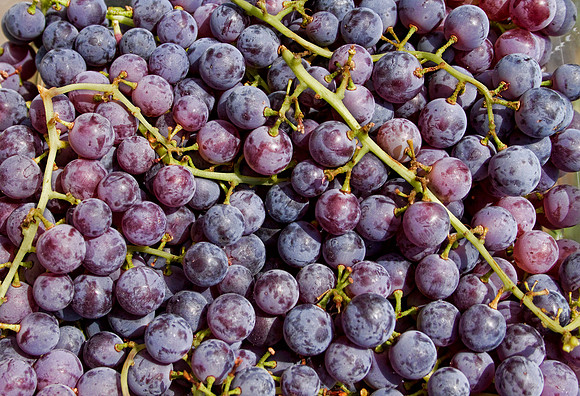 grapes_bunch