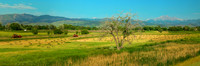 Colorado Front Range Hay Farming Panoramic View