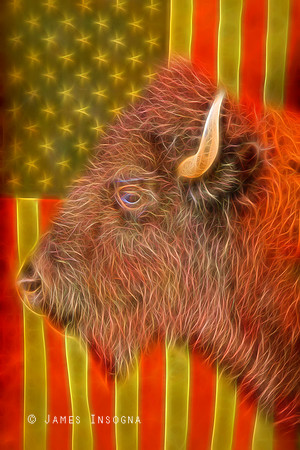 American Bison Flag