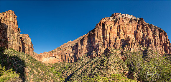 Zion Panorama