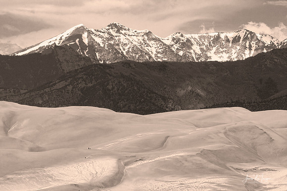 IMG_0263BWsepia