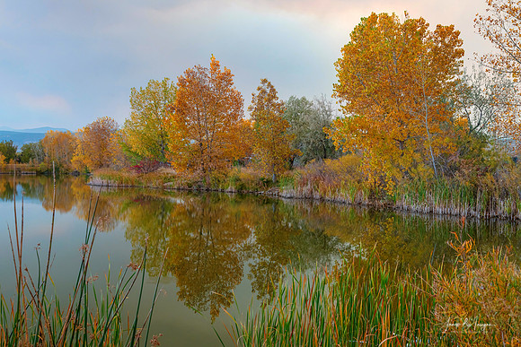 Just Another Beautiful Autumn Reflection