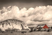 Sepia Fine Art