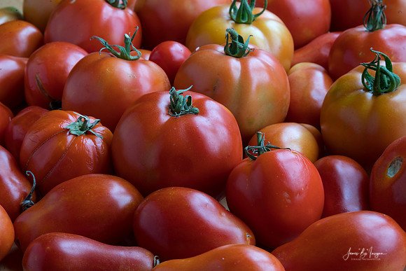 Red Roma Super Fantastic Tomatoes