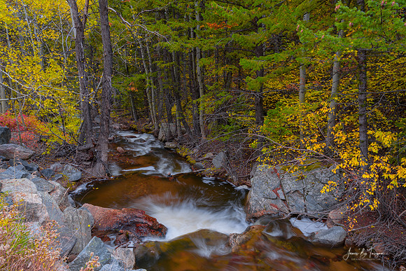 Rocky Mountain Autumn Fishing Hole