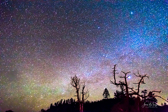 Starry Universe