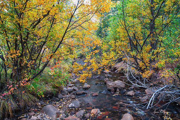 Lefthand Creek Autumn View