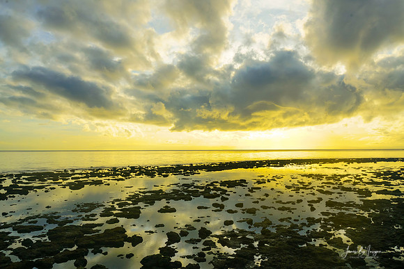 Where the Sky Meets the Tides