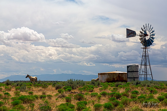 Just Another Rural Country Landscape